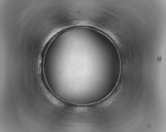 X0000091361126200708101414