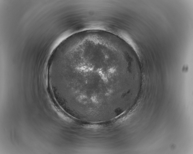 X0000091361127200708101414