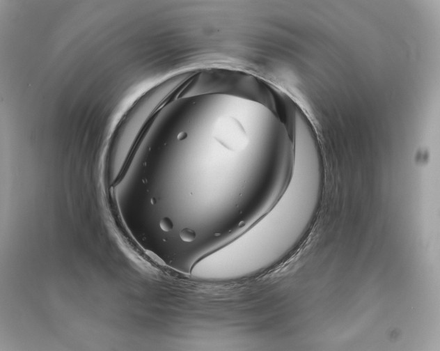 X0000091361128200708101414