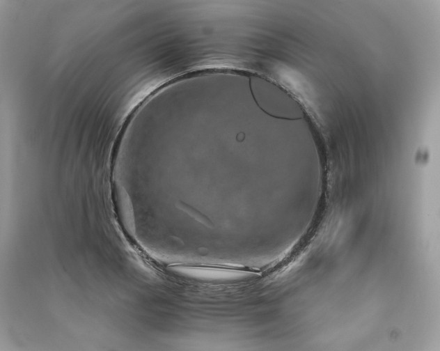 X0000091361129200708101414