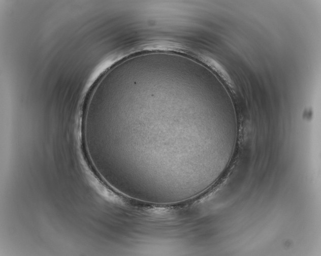 X0000091361130200708101414