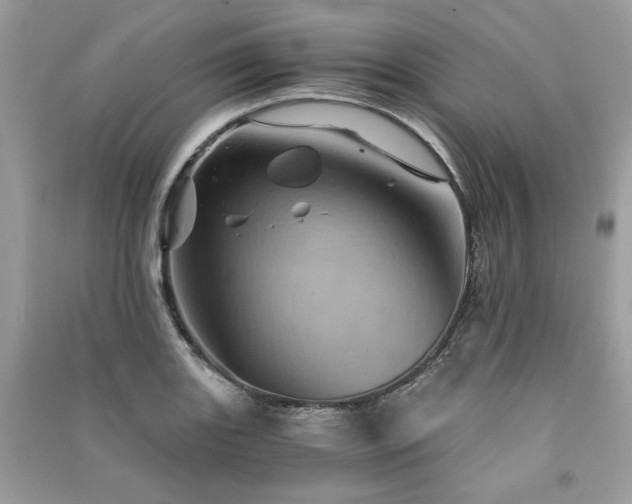 X0000091361131200708101414
