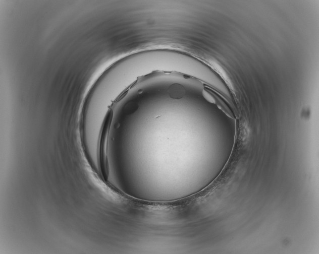 X0000091361132200708101414