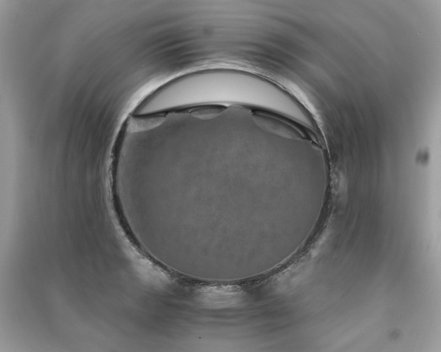 X0000091361133200708101414