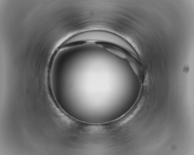 X0000091361134200708101414