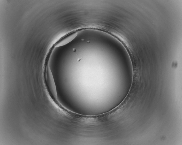X0000091361135200708101414