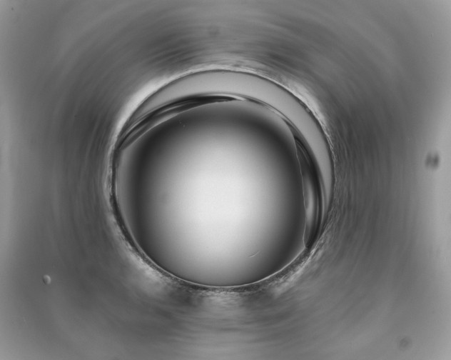 X0000091361136200708101414