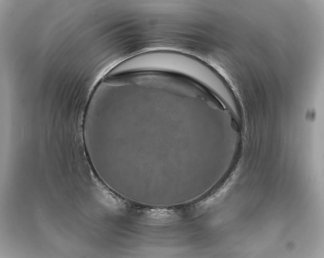 X0000091361137200708101414