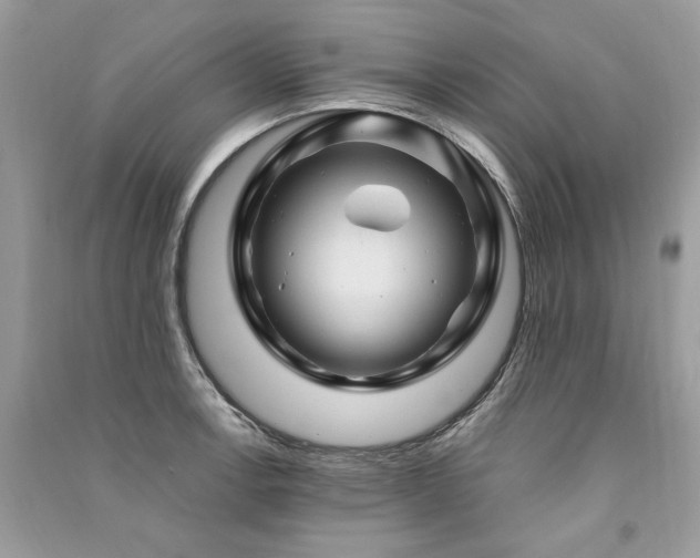 X0000091361138200708101414