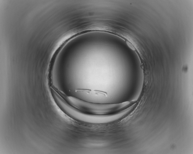 X0000091361139200708101414