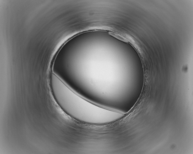 X0000091361140200708101414