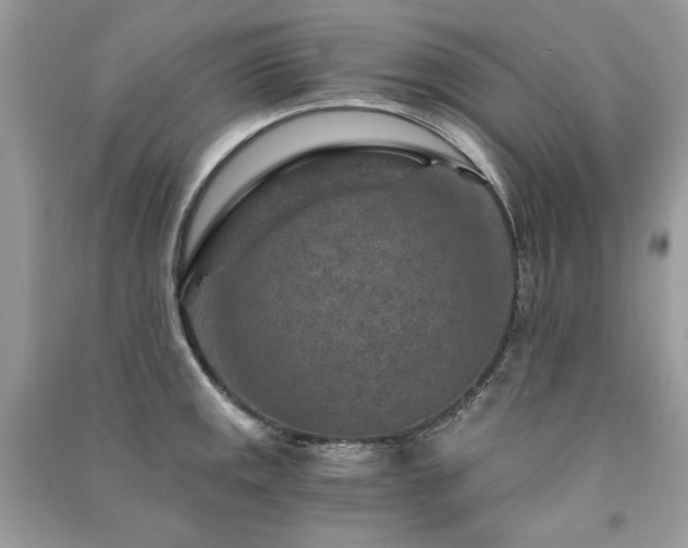 X0000091361141200708101414