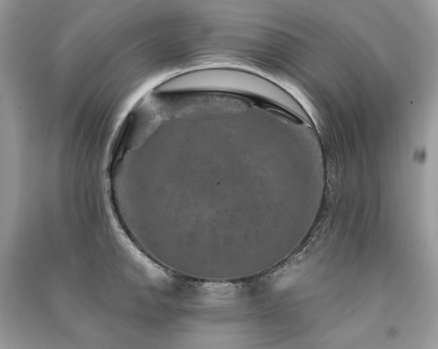 X0000091361142200708101414
