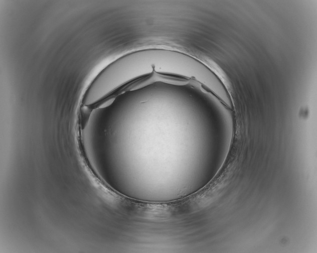 X0000091361144200708101414