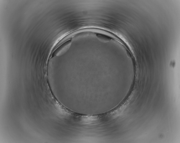 X0000091361145200708101414
