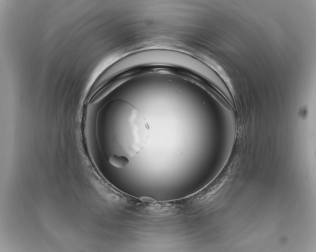 X0000091361146200708101414