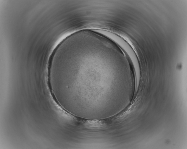 X0000091361147200708101414