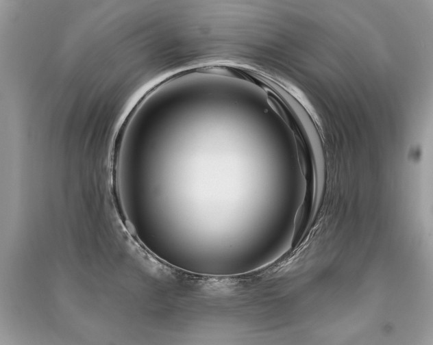 X0000091361148200708101414