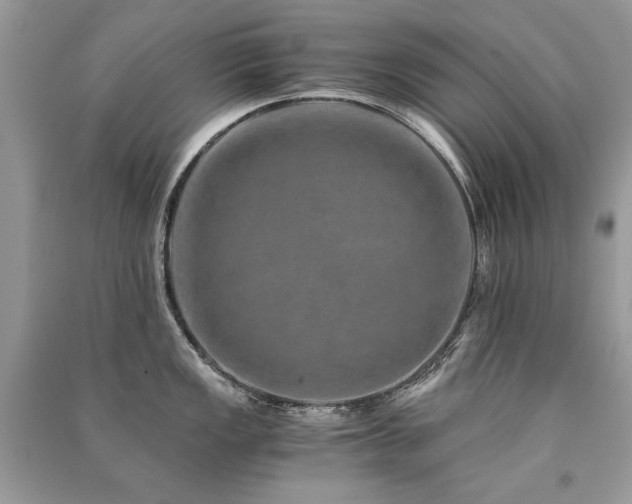 X0000091361149200708101414