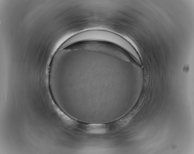 X0000091361151200708101414