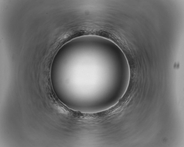 X0000091361153200708101414