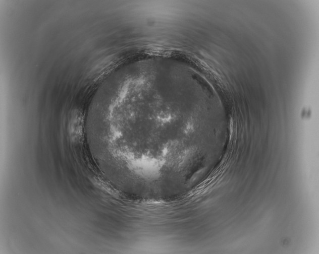 X0000091361154200708101414