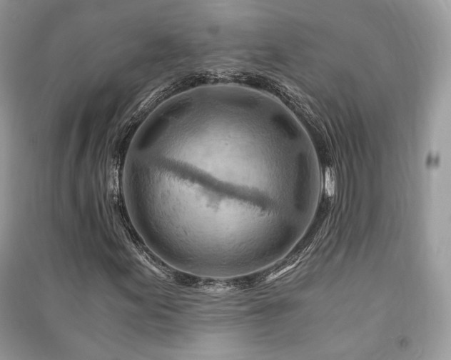 X0000091361155200708101414