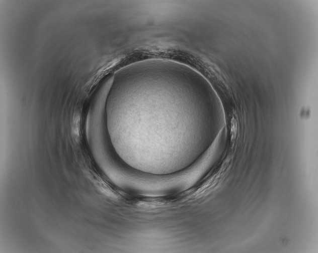 X0000091361156200708101414