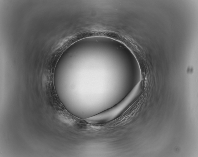 X0000091361157200708101414