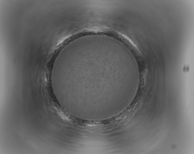 X0000091361158200708101414