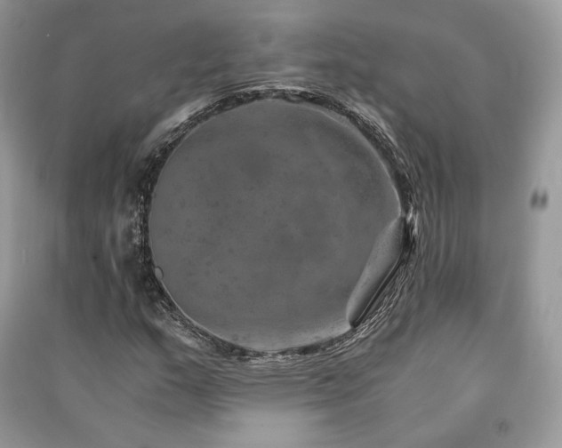 X0000091361159200708101414