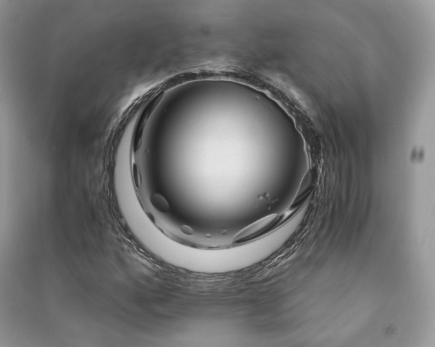 X0000091361160200708101414