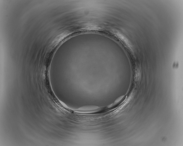 X0000091361161200708101414