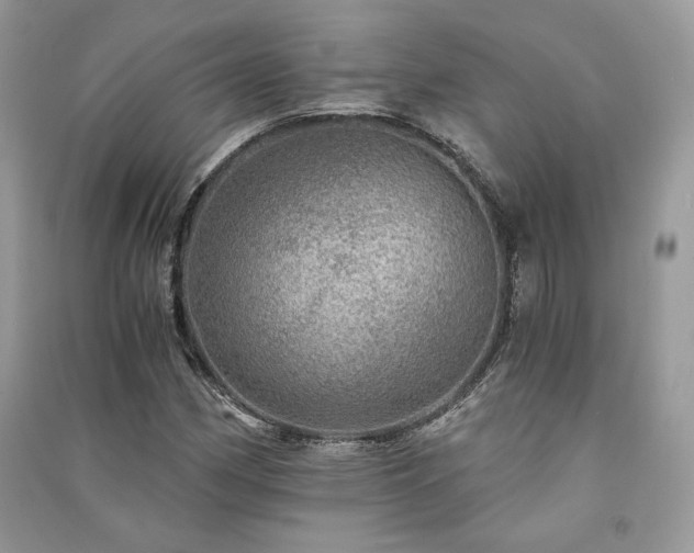 X0000091361162200708101414
