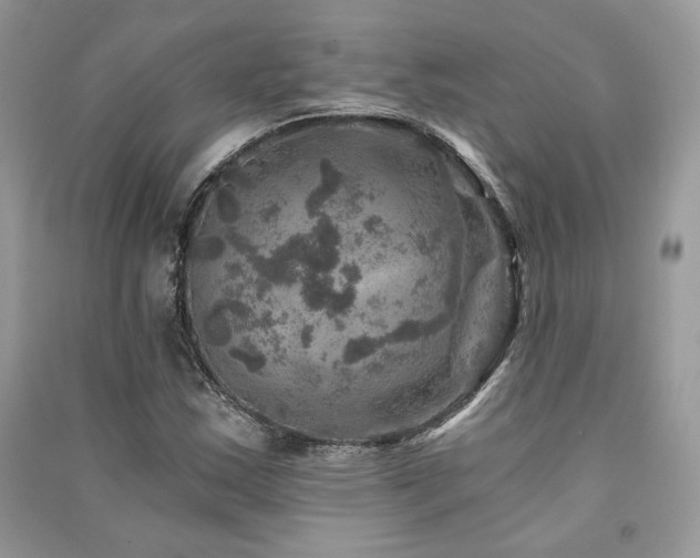 X0000091361163200708101414