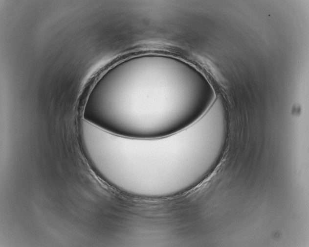 X0000091361164200708101413