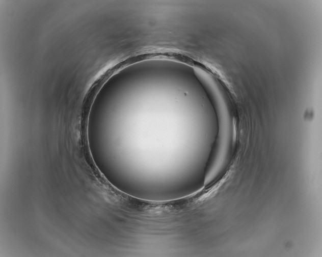 X0000091361165200708101413