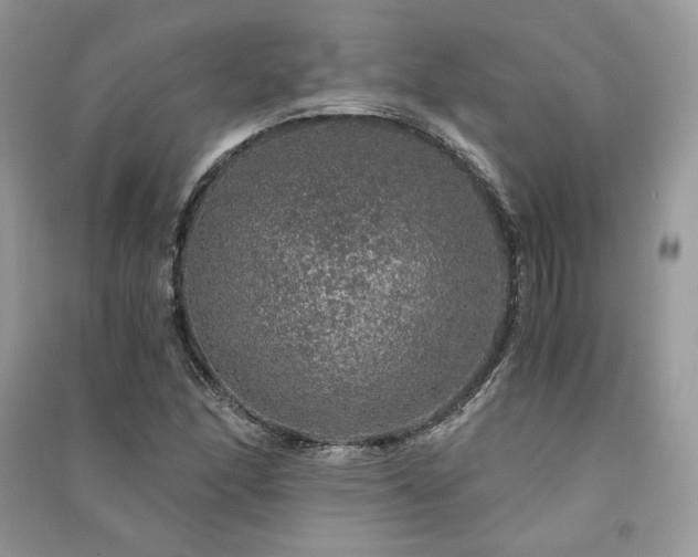 X0000091361166200708101413