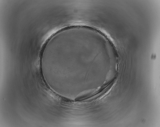 X0000091361167200708101413