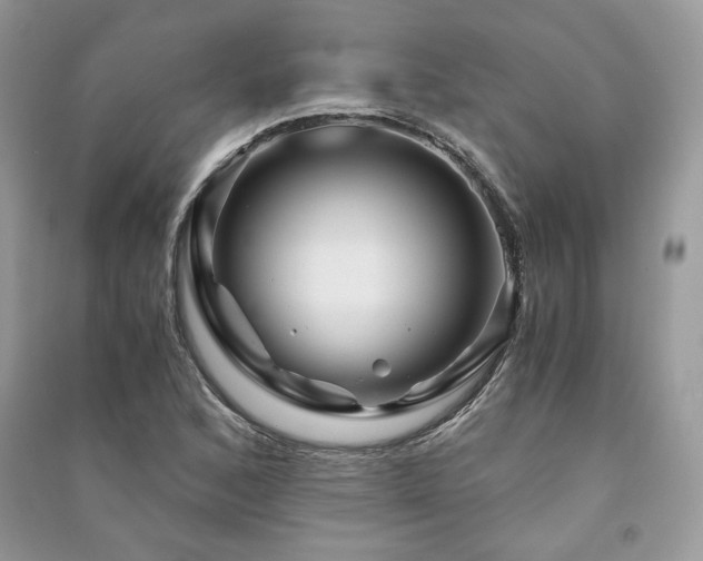 X0000091361168200708101413