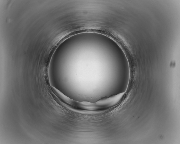 X0000091361169200708101413