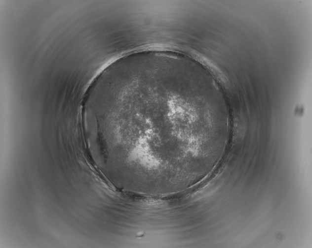 X0000091361170200708101413