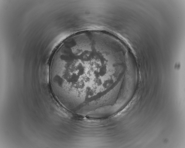 X0000091361171200708101413