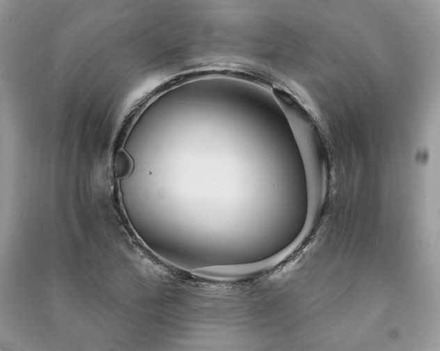 X0000091361172200708101413