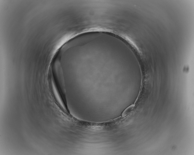 X0000091361173200708101413