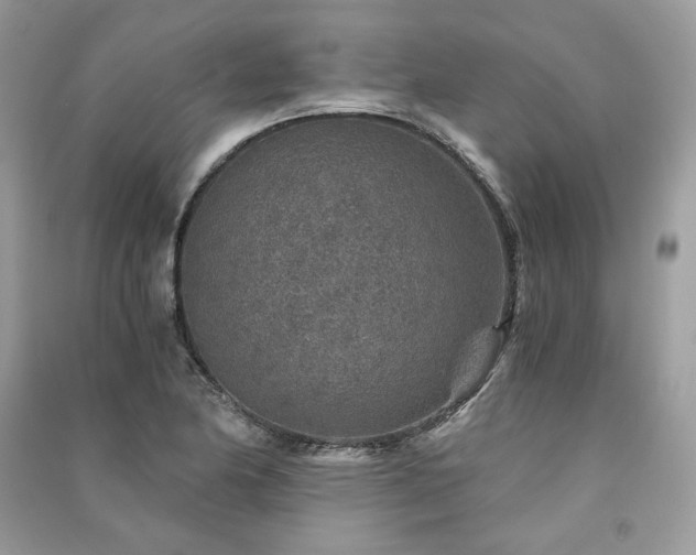 X0000091361174200708101413