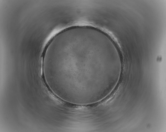 X0000091361175200708101413
