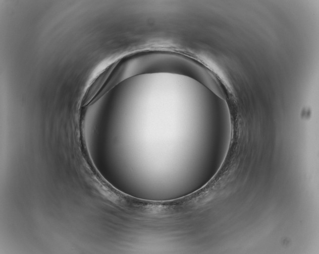 X0000091361176200708101413
