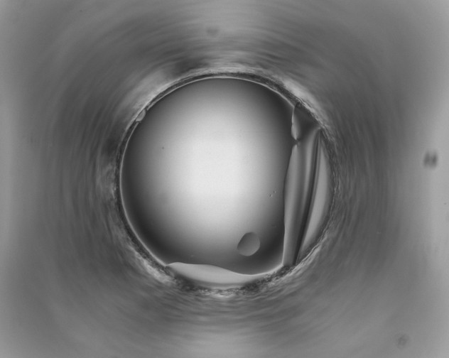 X0000091361177200708101413