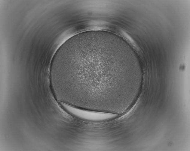 X0000091361178200708101413